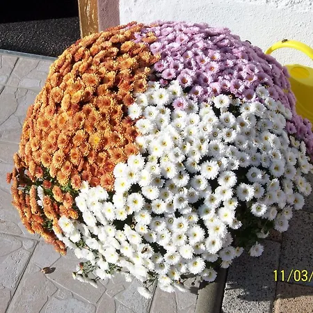 Durst Roswitha Διαμέρισμα