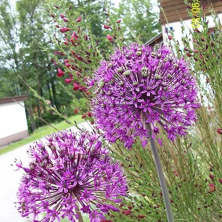 Διαμέρισμα Durst Roswitha *