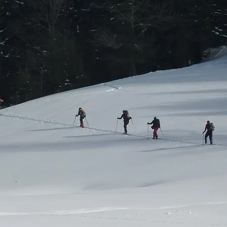 Διαμέρισμα Durst Roswitha