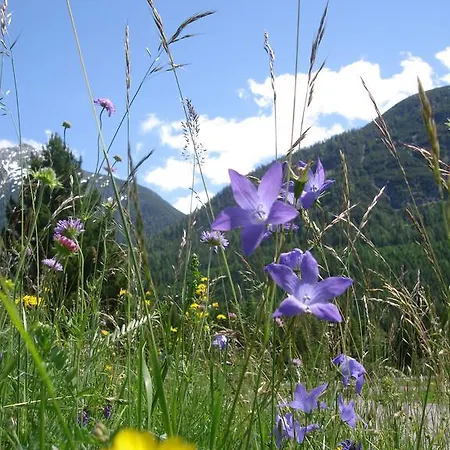 Διαμέρισμα Durst Roswitha