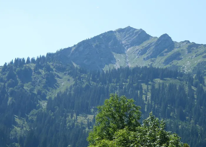 Durst Roswitha * Schattwald