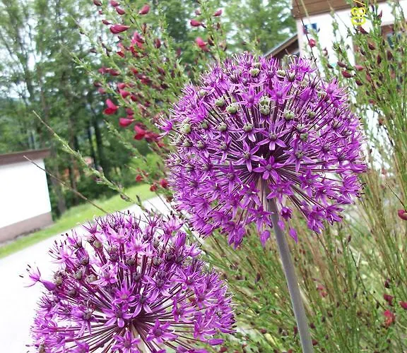 Appartamento Durst Roswitha *