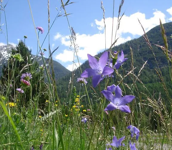 Appartamento Durst Roswitha