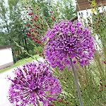 Appartement Durst Roswitha *