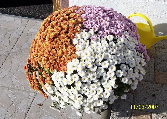 Durst Roswitha Апартаменты